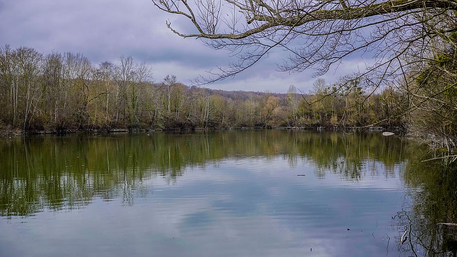 Parc, Livry-sur-Seine